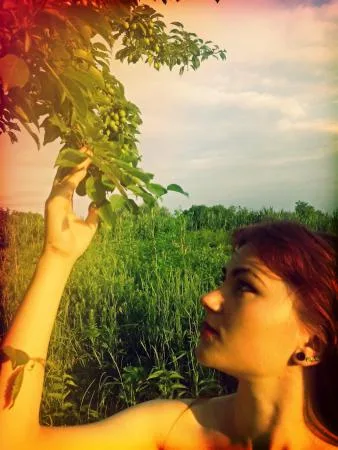 Телочки Анастасиевская